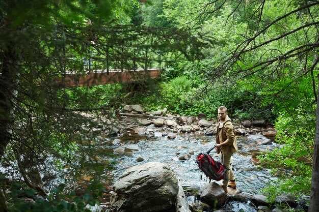 Discover Forest Park - The Hidden Gem of Ballston Lake, New York