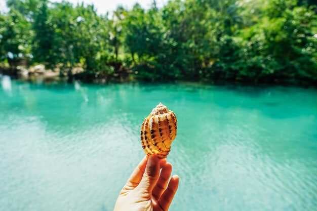 Discover Island Head - Your Ultimate Guide to the Hidden Gem