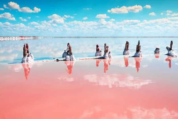 Discover PaddleTap Party Boats - Experience the Ultimate Floating Celebration