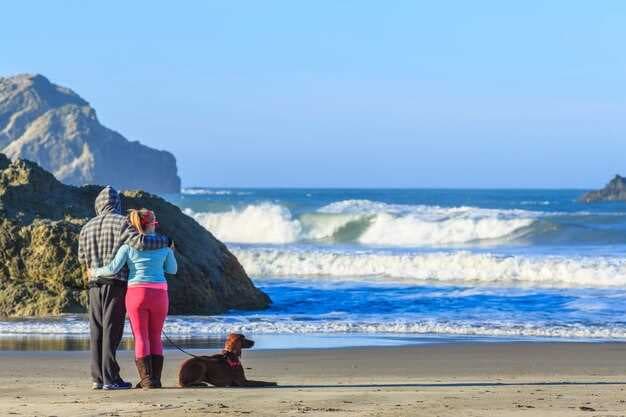 Discover the 15 Best Beaches Near Washington DC Metro Area for Perfect Getaways