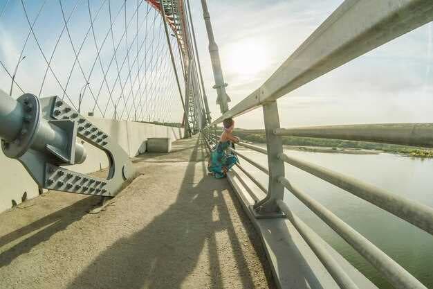 Discover the Basics of Pontoon Bridges - Construction, Benefits, and Uses