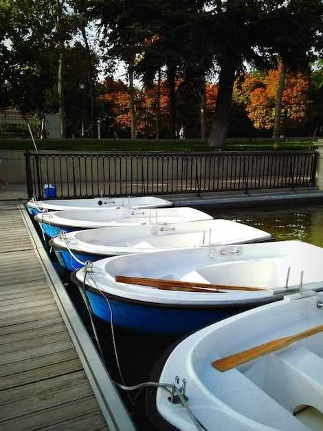 Discover the Best Boat Rentals Near Bristol for Unforgettable Adventures