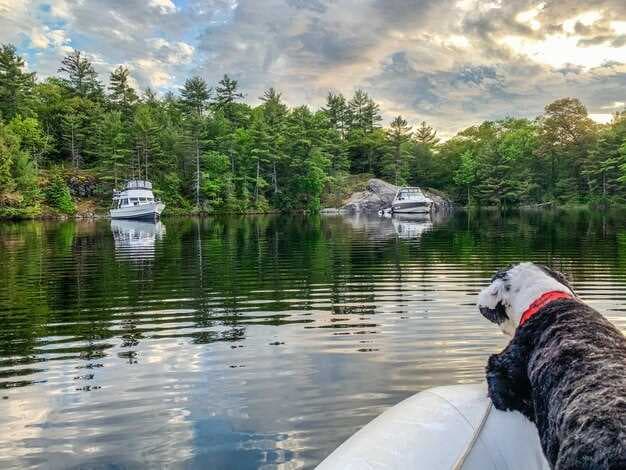 Discover the Best Lake Wylie Boat Rental Options for Your Perfect Day on the Water