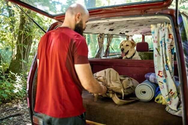 Discover the Best Pet Friendly RV Rentals in Baldwinsville, NY for Your Next Adventure