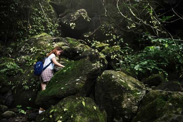 Discover the Hidden Gems - Exploring the Forest Preserves of Cook County