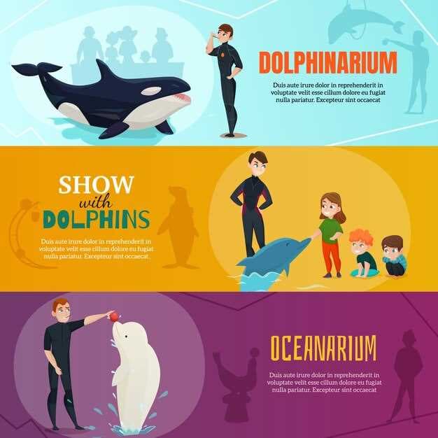 Discover the Thrills of Bar Harbor Whale Watch Co - Your Ultimate Guide to Whale Watching Adventures