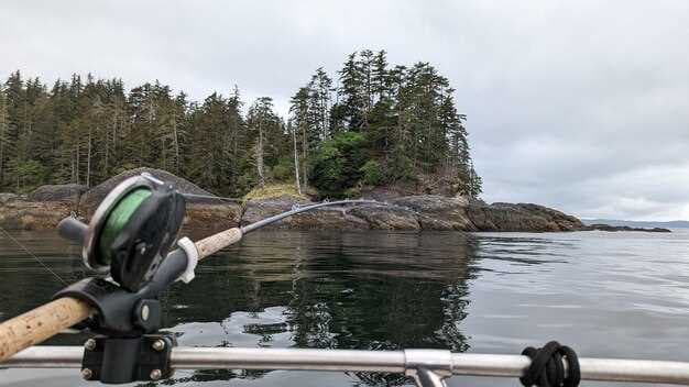 Discover the Ultimate LJK Outdoors Headboat Experience - Your Guide to Fishing Adventures
