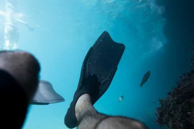 Dive Shack USA - Your Guide to Scuba Gear, Training, and Dive Trips