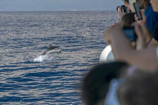 Dolphin and Whale Watching in Holden Beach - Guide & Tours