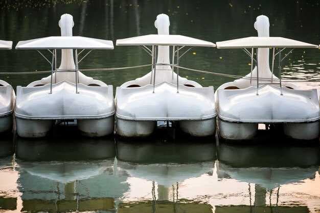 Enclave Dock Lift - The Evolution of Scott Davis Dock Lift Technology