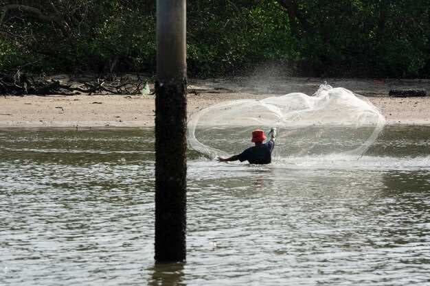 Experience Speed and Comfort - Embrace Boat Days on the Blue Hurricane