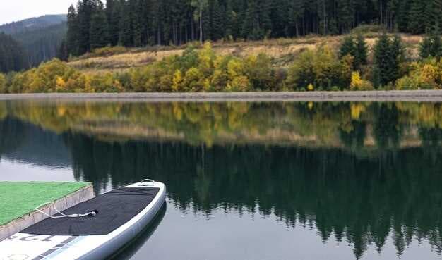 Explore Lake Wylie - Your Ultimate Guide to Boat Rentals