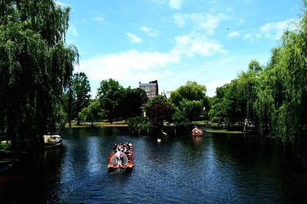 Explore Scenic City Park - Bike and Swan Boat Rentals for an Unforgettable Experience