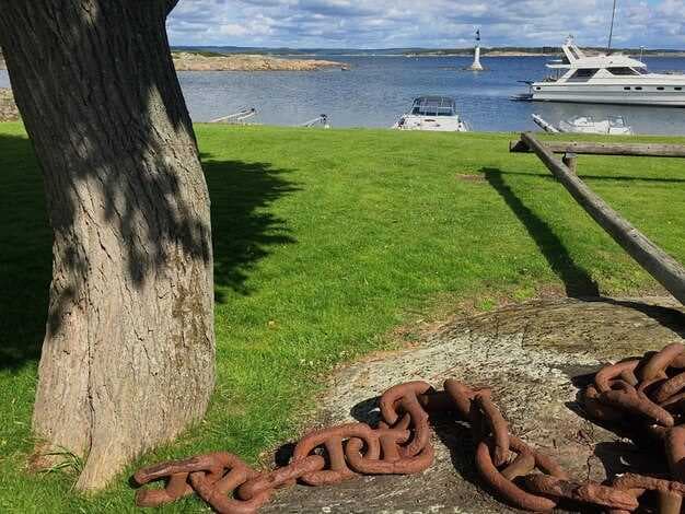 Explore the Beauty of Norfolk Broads - Unforgettable Boating Holidays Awaits