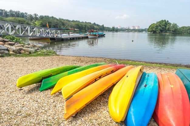 Explore the Best Kayak, SUP, and Canoe Rentals in Lambertville, NJ
