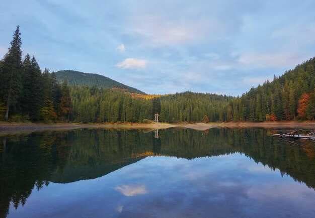 Explore the Best Pennsylvania State Parks - Nature, Adventure, and Serenity