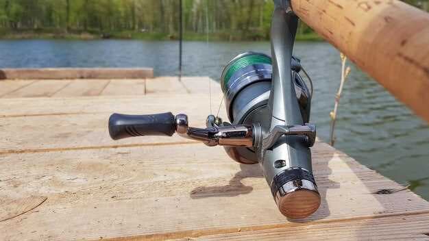 Explore the Best Pontoon 21 Spinning Rods - Ultimate Guide for Anglers
