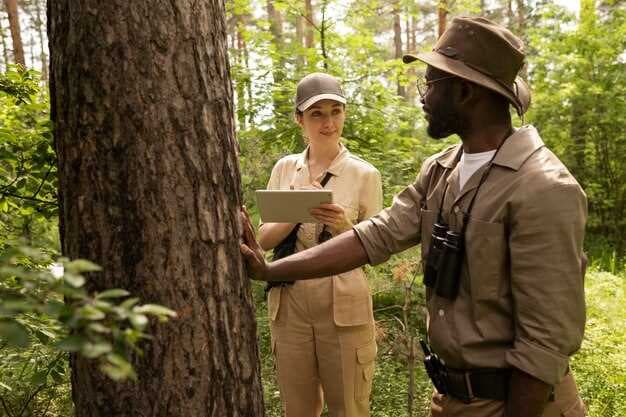 Explore the Hidden Gems - Ultimate Guide to the Forest Preserves of Cook County