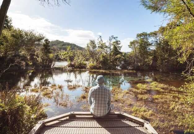 Explore the Serenity of Belleview Lakefront - A Comprehensive Guide to Nature and Recreation