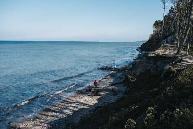 Exploring 30A and Beyond - A Comprehensive Guide to the Emerald Coast's Coastal Towns and Communities