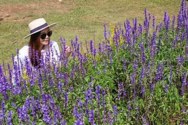 Exploring Brenham, Texas - A Guide to the Heart of Bluebonnet Country