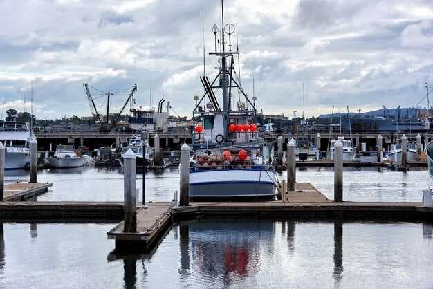Fishing Charters in Okaloosa Island, Florida, United States