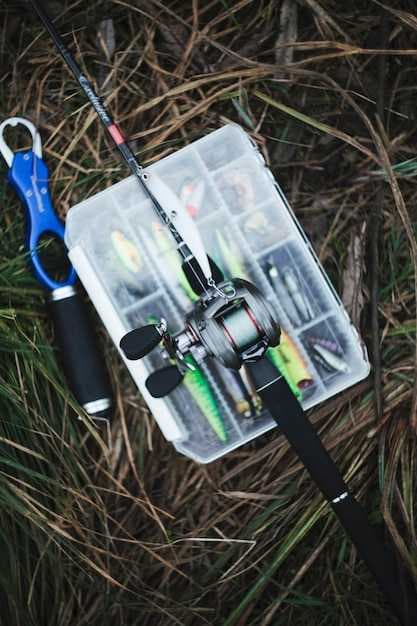 Fishing Gear and Tackle Equipment - Essential Guide for Anglers