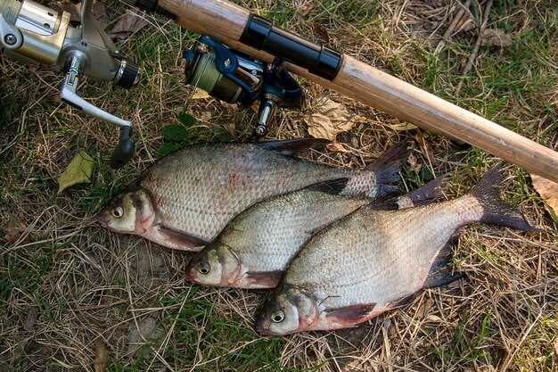 Fishing Tips by Species - Bass, Trout, Pike - Expert Angling Guide