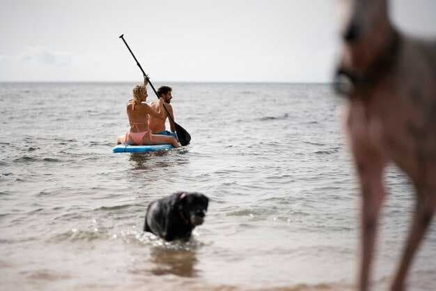 Gulf Shores Kayaking - Best Routes, Rentals, and Wildlife Viewing