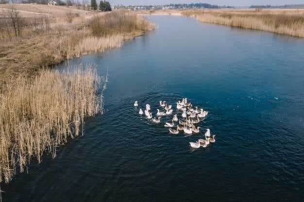 History of Airboats - From Early Pioneers to Modern Vessels