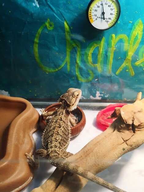 Isla Iguana Wildlife Refuge Vacation Rentals - Lodging & Stay Guide
