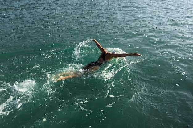 Journey with Gentle Giants – Swim - A Safe Guide to Swimming with Ocean Giants