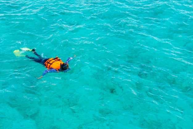 Kenya's Marine Safaris - The Best Snorkeling and Diving Spots Along the Coast