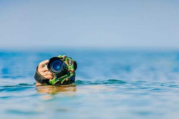 Key Largo Snorkeling - The Definitive Guide to the Best Spots and Tips