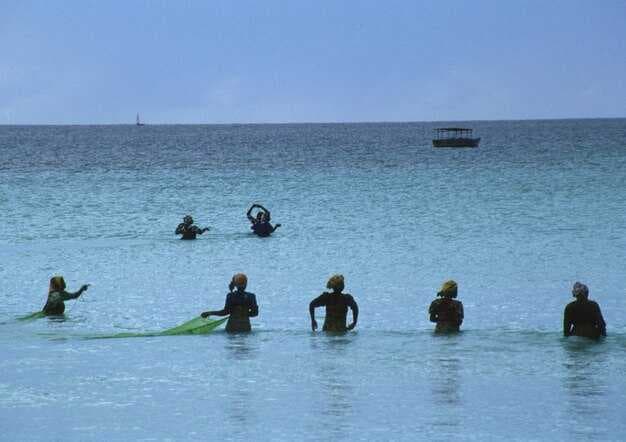 Key Largo Watersports - Snorkeling, Scuba & Parasailing Tours