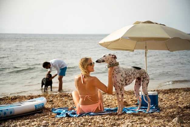 Kings Beach - The Ultimate Guide to Beaches, Activities & Travel Tips