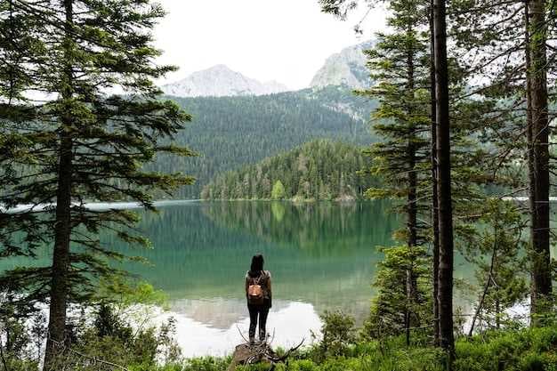Lakes in Seattle - The Ultimate Guide to Scenic Lakes and Outdoor Fun
