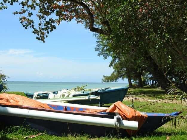 Livingston House Rentals with Kayaks - Waterfront Homes for a Kayaking Getaway