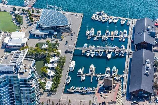 Maiora Yachts for Charter | Luxury Private Yacht Charters Worldwide