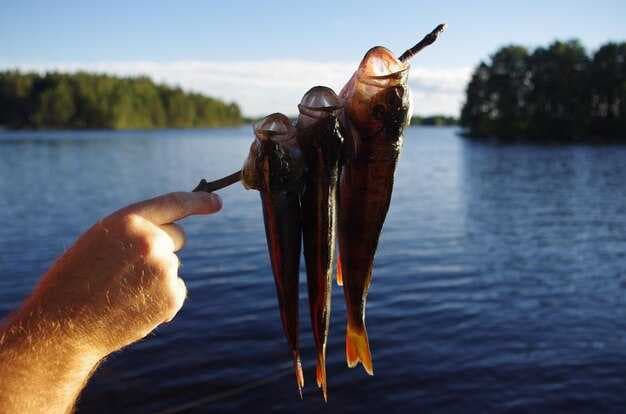 Mastering Angler Etiquette - Essential Tips for Respectful and Enjoyable Fishing