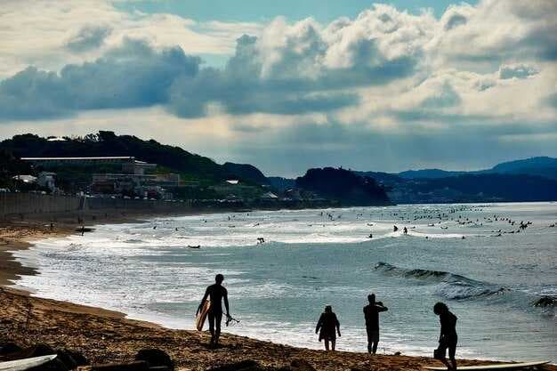 Monterey Life - The Ultimate Guide to Monterey, California's Coastal Attractions and Culture