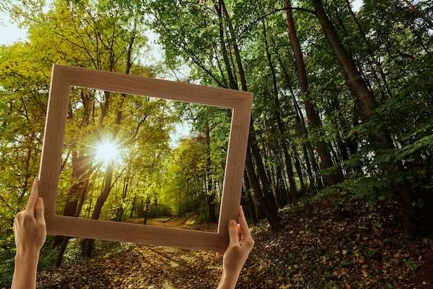 Nature Impacts Us - How Nature Shapes Health and Wellness