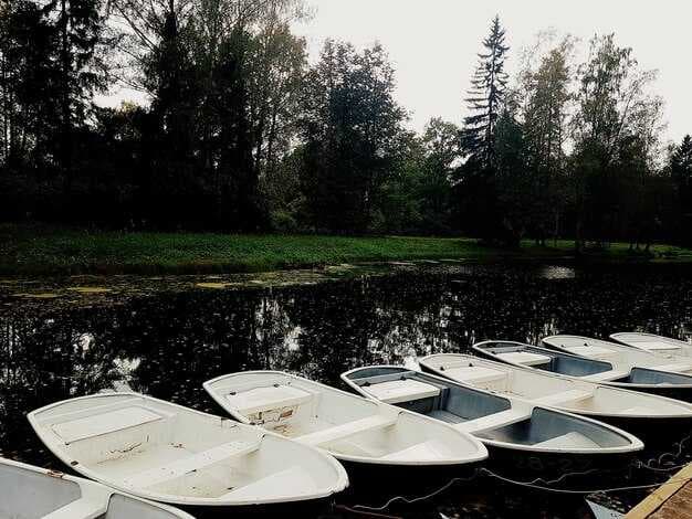 Party on the Lake - Boat Rentals for Unforgettable Lake Parties