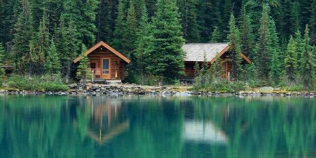 Pet-Friendly Cabin Rentals Along Buffalo River for Unforgettable Getaways