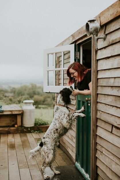 Pet-Friendly Vacation Home Rentals in Brevard - Enjoy a Getaway with Your Furry Friends
