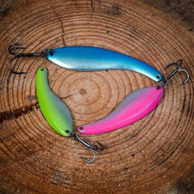 Pontoon 21 Bully Boo 45-SS Color 333 Review - Ultimate Fishing Lure for Success