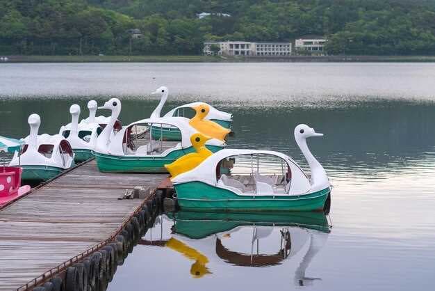 Pontoon Boats for Sale in Bowling Green, OH - Find Your Perfect Watercraft Today!