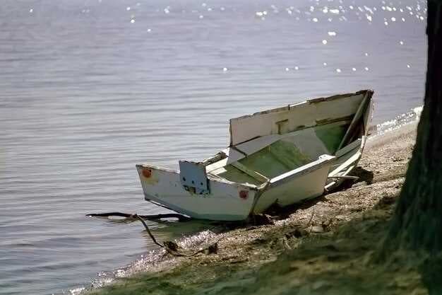 Professional Boat Removal and Disposal Services in Bloomfield MI - Eco-Friendly Solutions
