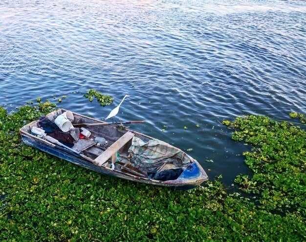 Rent the Best Lavon Speed Boats | Top Lavon Lake Boat Rentals