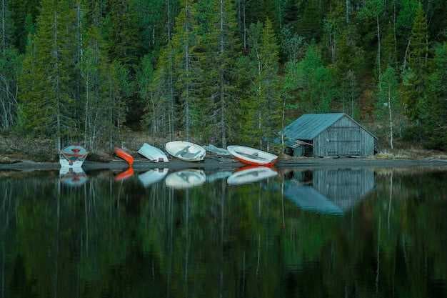 Rental Cabins at Beaver Dam Lake - Your Ultimate Getaway Destination